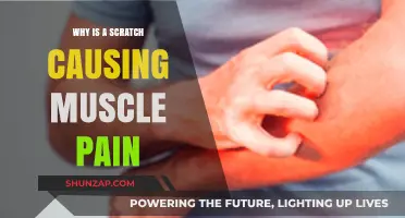 Scratch-Induced Muscle Pain: Understanding the Surprising Connection and Causes