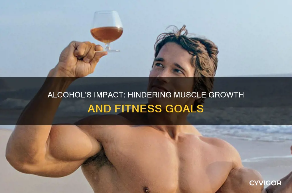 why is alcohol bad for gaining muscle