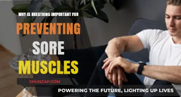 Breathing Techniques: Essential for Muscle Recovery and Sore Prevention