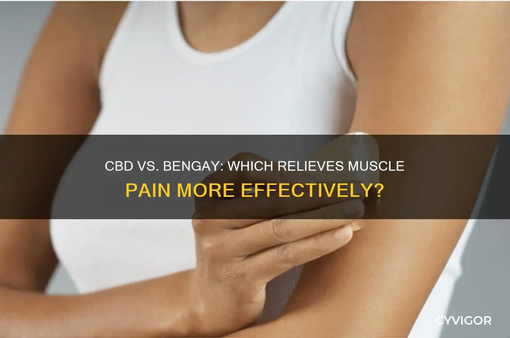 why is cbd run better than bedgay for muscle pain