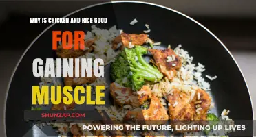 Chicken and Rice: The Ultimate Muscle-Building Fuel for Fitness Enthusiasts