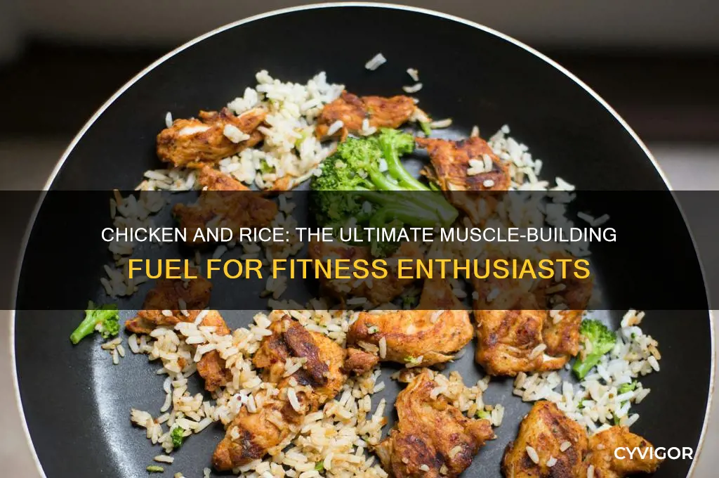 why is chicken and rice good for gaining muscle