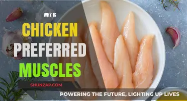 Chicken: The Preferred Muscle Protein Source