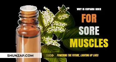 Copaiba Oil: Natural Relief for Sore Muscles and Recovery