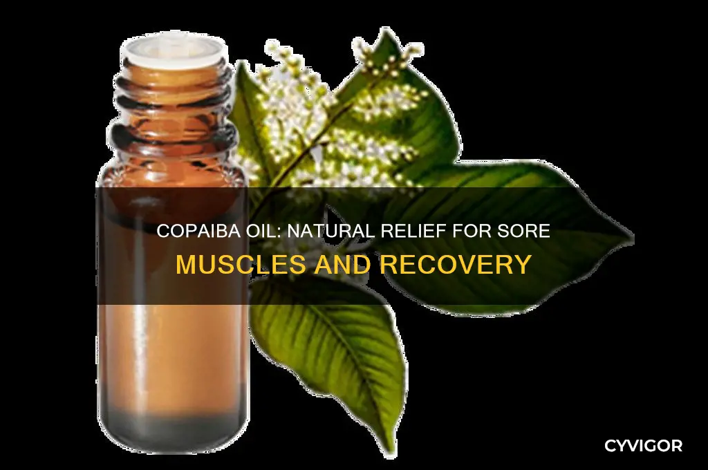 why is copaiba good for sore muscles