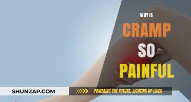 Unraveling the Agony: Why Muscle Cramps Cause Intense Pain