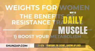 Daily Muscle Workouts: The Key to Unlocking Strength