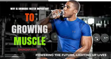 Hydration and Muscle Growth: Why Water is Essential for Strength