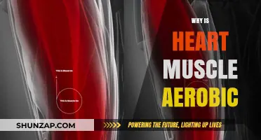 Heart Muscle Aerobics: The Why and How