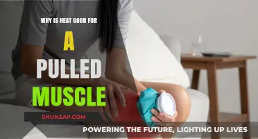 Healing Heat: How Warmth Soothes and Repairs Pulled Muscles
