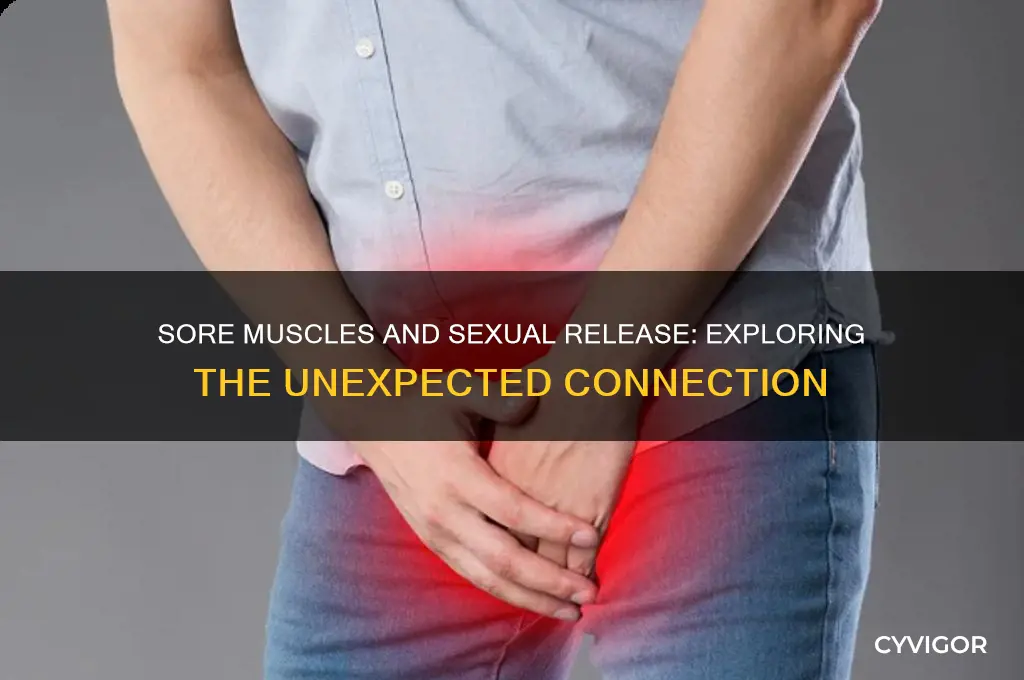 why is it easier to ejaculate when muscles r sore