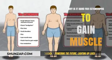 Ectomorph Muscle Gain Struggle: Unlocking the Challenges of Building Mass