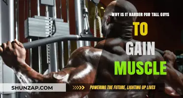 Tall Guys' Muscle Gain Struggle: Unraveling the Challenges of Height