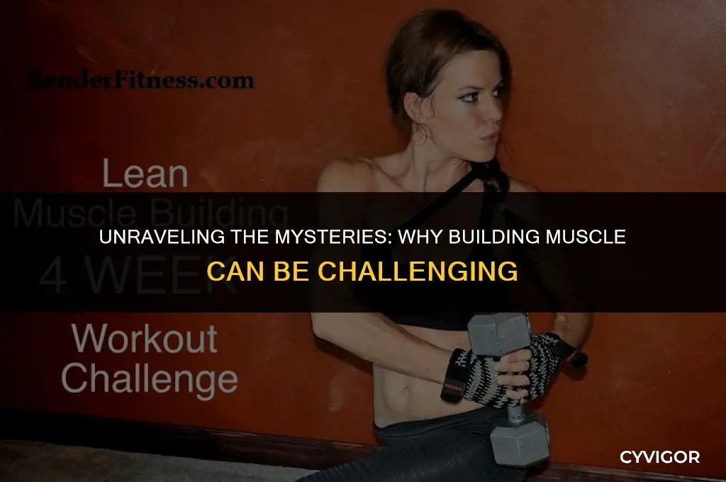 why is it so hard to build muscle