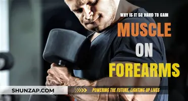 Forearm Muscle Growth: Unlocking the Stubborn Strength Barrier