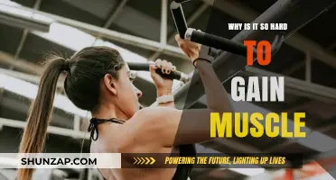 Unraveling the Challenges of Muscle Gain: What's Holding You Back?