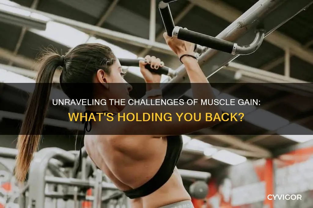 why is it so hard to gain muscle