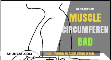 Low Arm Muscle Circumference: Risks, Health Implications, and Prevention Tips