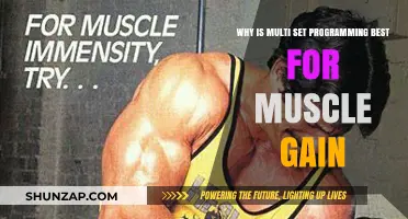 Maximize Muscle Growth: The Power of Multi-Set Programming