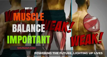 Muscle Balance: The Key to Optimal Body Functioning