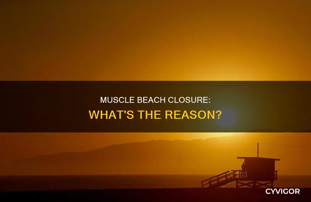 why is muscle beach closed