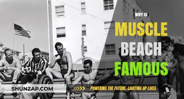Muscle Beach: A Cultural Icon of Fitness