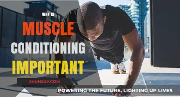 Muscle Conditioning: Building Blocks of Fitness