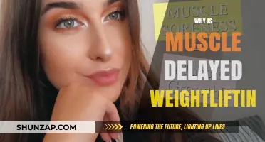 Understanding the Science of Muscle Growth and Delayed Onset
