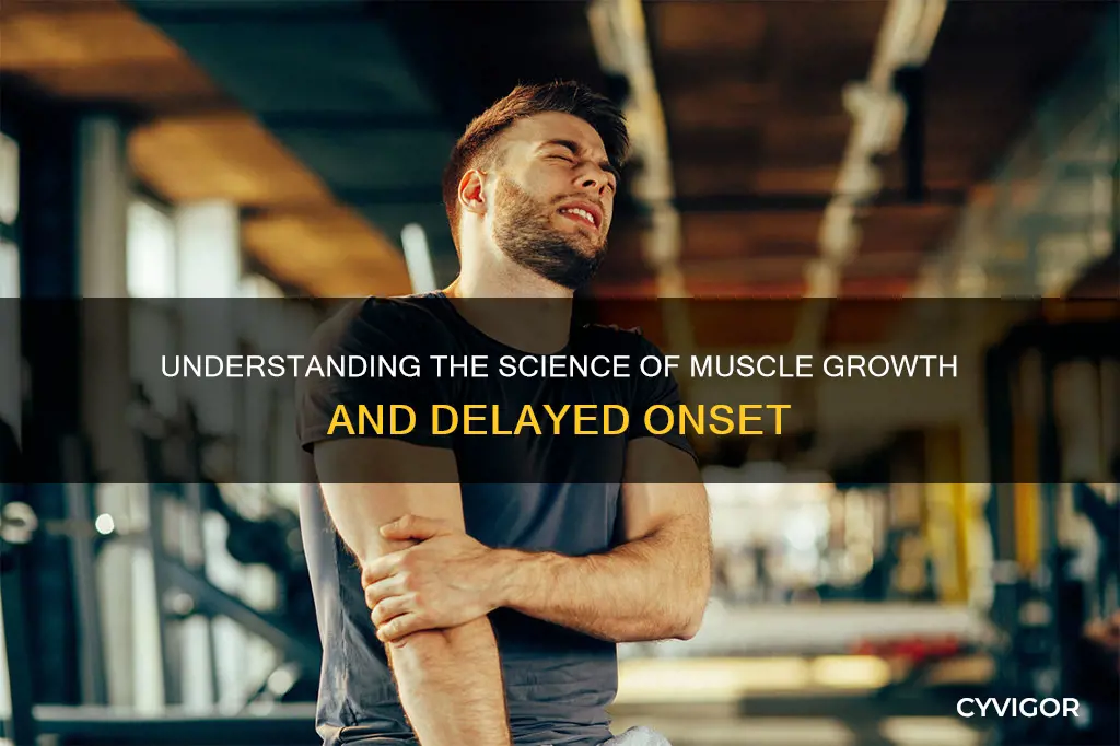 why is muscle delayed weightlifting