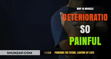 Understanding the Agonizing Reality of Muscle Deterioration and Its Pain