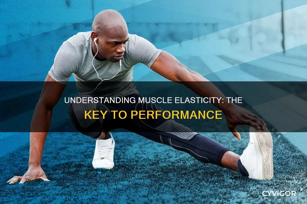 why is muscle elasticity important