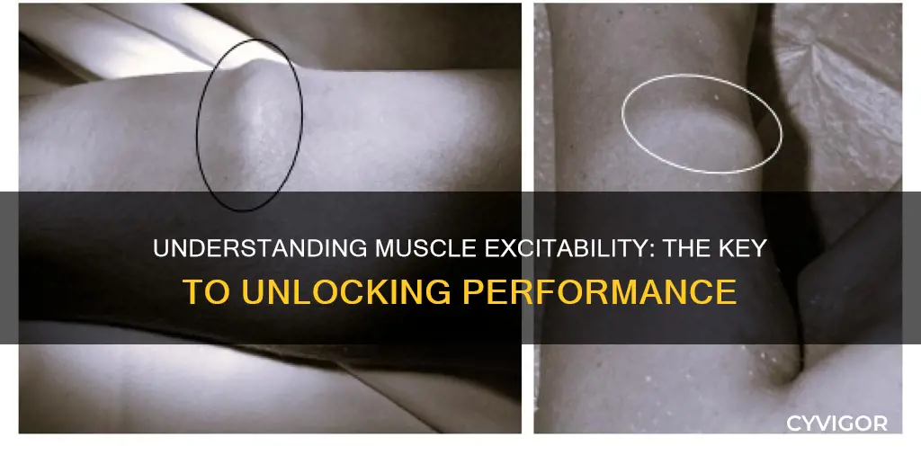 why is muscle excitability important