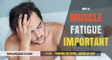 Understanding Muscle Fatigue: The Key to Performance