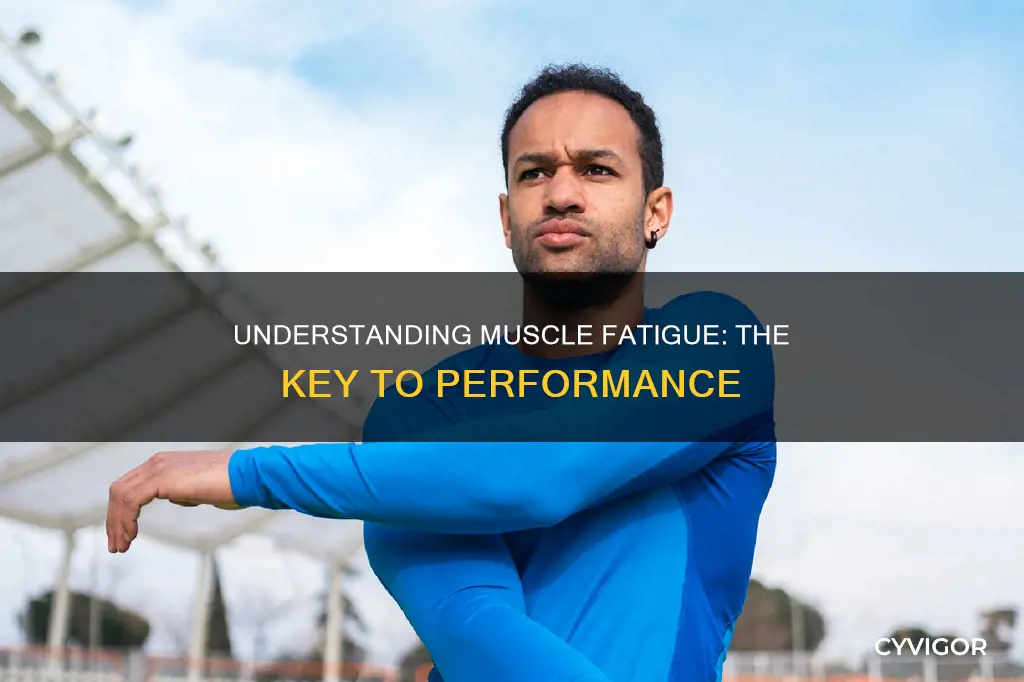 why is muscle fatigue important