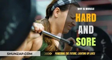 Why Muscles Feel Hard and Sore After Intense Workouts Explained