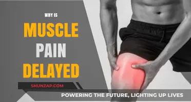 Why Delayed Muscle Pain Occurs After Intense Physical Activity