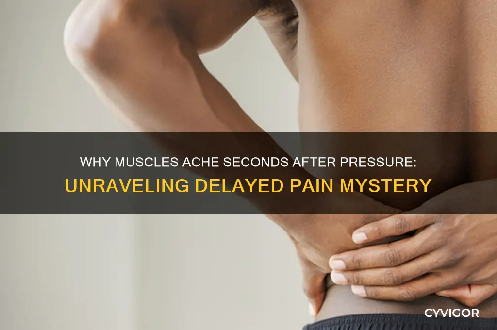 why is muscle painful several seconds after being pressed