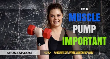 Muscle Pump: Why It's Important for Your Health and Fitness