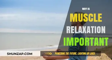 Muscle Relaxation: Unlocking Physical and Mental Health Benefits
