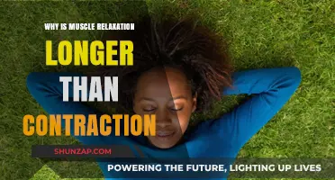 Muscle Relaxation vs. Contraction: Understanding the Extended Duration