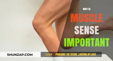 Understanding Muscle Sense: The Key to Physical Awareness