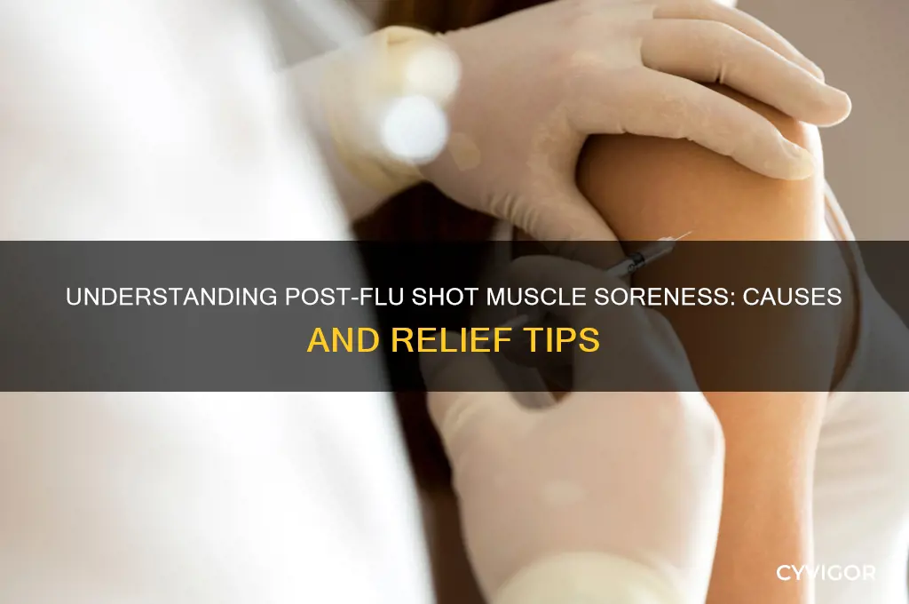 why is muscle sore after flu shot