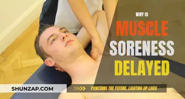 Understanding the Mystery of Delayed Muscle Soreness