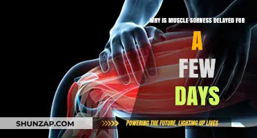 Delayed Muscle Soreness: Unraveling the Mystery Behind DOMS