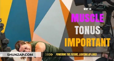 Muscle Tonus: Benefits of Maintaining Muscle Tone