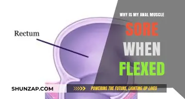 Anal Muscle Soreness: Causes and Relief When Flexed