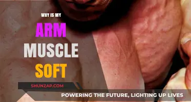 Why Your Arm Muscles Feel Soft: Causes and Solutions Explained