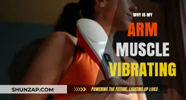 Why Your Arm Muscle Vibrates: Causes, Concerns, and Solutions Explained
