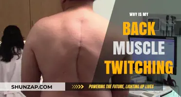 Understanding Back Muscle Twitching: Causes and Remedies