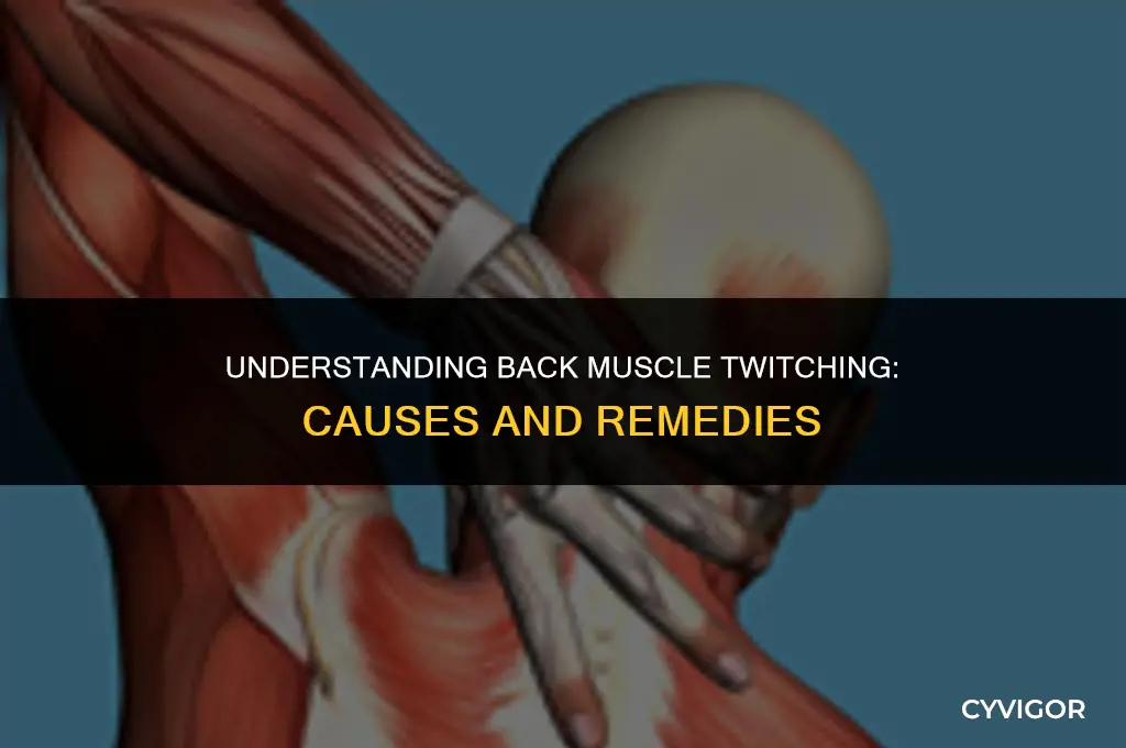 why is my back muscle twitching